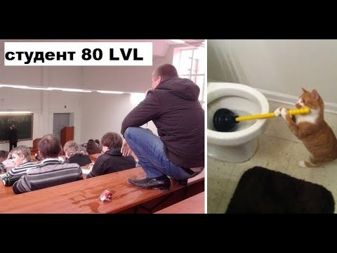 Видео: Лютые приколы интернета. Студент 80 уровня! Четкий!