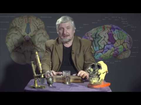 Видео: Профессор Савельев про Менделеева