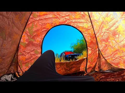 Видео: Рыбалка на РЕКЕ ИЛИ. БЫВАЕТ И ТАКАЯ РЫБАЛКА ШАШЛЫК САЗАН КАРП,КАРАСЬ МАЛЕНЬКИЙ КРОКОДИЛ? Август 2021