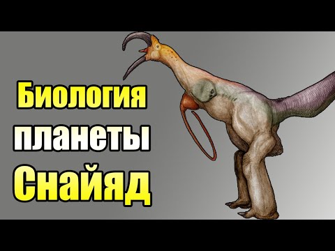 Видео: Биология планеты Снайяд | Ч.1| Спекулятивная биология