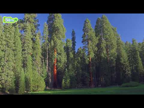 Видео: Материктер/ Түндүк Америка