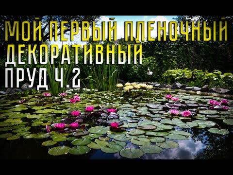 Видео: Мой первый пленочный декоративный пруд ч.2
