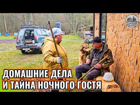 Видео: ПОРЯДОК ВОКРУГ И ТАЙНА НЕОЖИДАННОГО ГОСТЯ. КТО ЭТО СДЕЛАЛ?