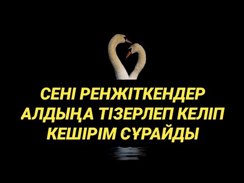Видео: Сені ренжіткендер жылап тұрып кешірім сұрайтын болады