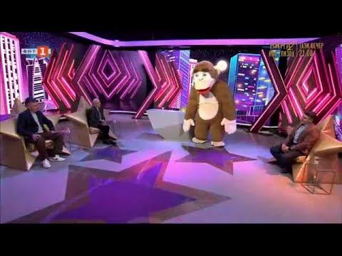 Видео: С БНТ завинаги: 40 години Софийски зоопарк - 17.03.2024