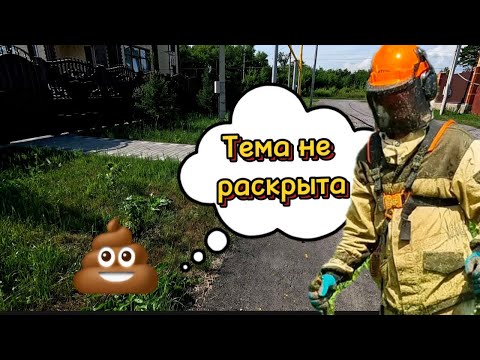 Видео: Легкий покос участка #stihl Деньги не пахнут