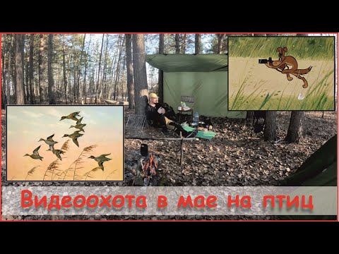 Видео: Одиночный водный поход на викинге. Видеоохота в мае