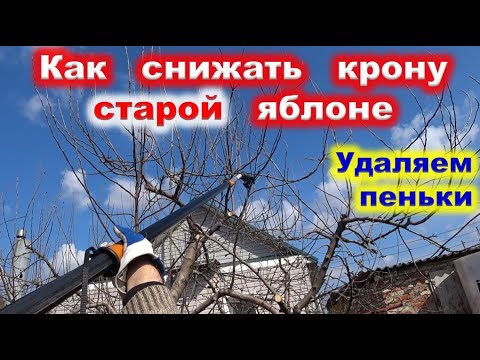 Видео: СНИЖЕНИЕ КРОНЫ старой ЯБЛОНИ. Осветляем крону, проводим прореживание волчков.