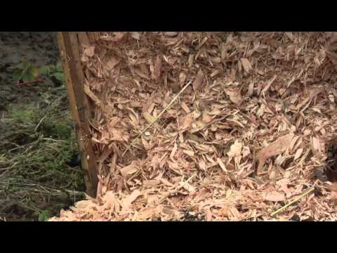 Видео: Подготовка клубники к зиме