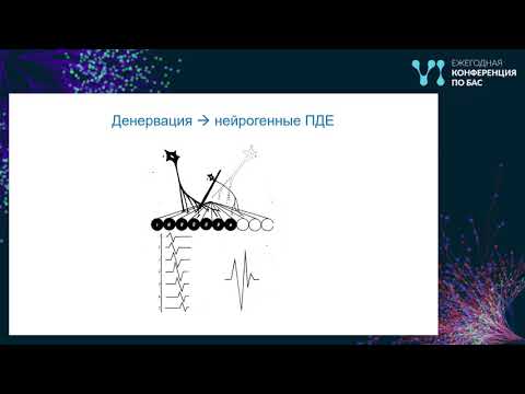 Видео: Электронейромиография в дифференциальной диагностике болезней двигательного нейрона