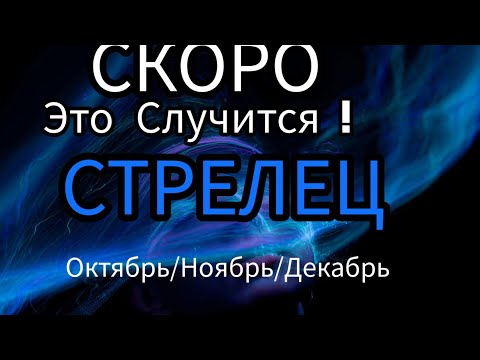 Видео: СТРЕЛЕЦ ♐️ ОКТЯБРЬ/НОЯБРЬ/ДЕКАБРЬ 2024🔴4 квартал года.Главные события периода.Таро гороскоп/прогноз