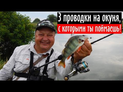 Видео: Три простых проводки на окуня, с которыми ты точно поймаешь!