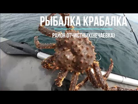 Видео: Сахалинская рыбалка КРАБЫ КАМБАЛА БЫЧКИ