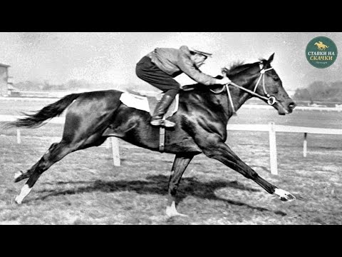 Видео: 1968. Николай Насибов и 'Анилин'