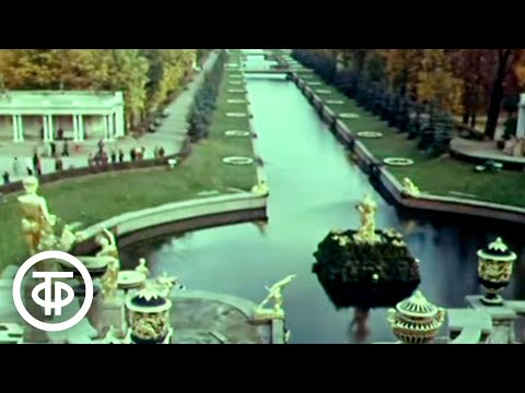 Видео: Петродворец. Документальный фильм (1976)