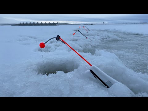 Видео: Зимняя рыбалка на корюшку | Ловля корюшки на Финском заливе | Февраль 2022