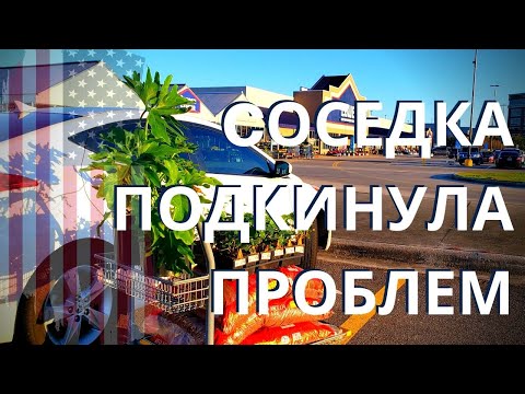 Видео: СОСЕДКА ПОДКИНУЛА ПРОБЛЕМ. 5 МЕСЯЦЕВ В НОВОМ ДОМЕ