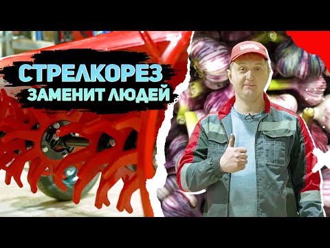 Видео: Техника для чеснока. Стрелкорез С-2000