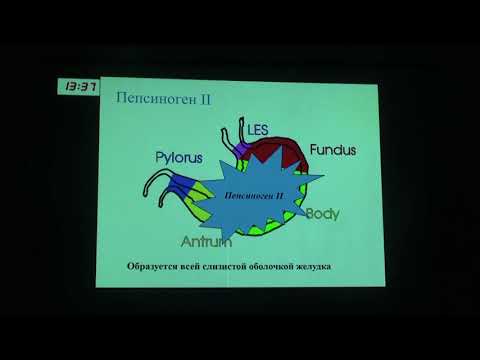Видео: 3 Антонова М. Скрининг рака желудка. Опыт. Достижения. Перспективы