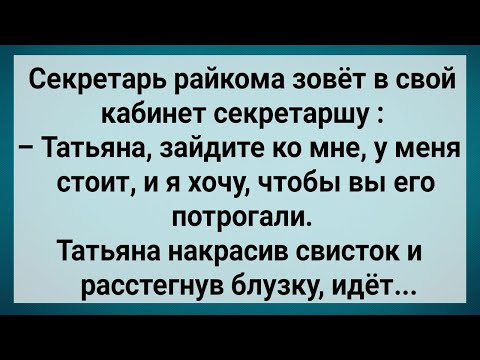 Видео: Как Секретарь Райкома Дал Секретарше Потрогать! Сборник Свежих Анекдотов! Юмор!