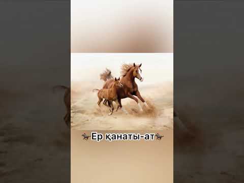 Видео: Ер қанаты-ат.