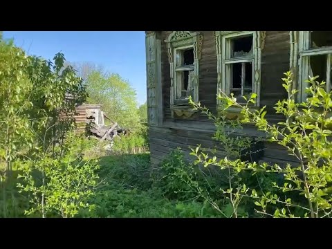 Видео: Рекордный коп в заброшенной деревне! #металлокоп  #копметаллолома #копарь #заработок