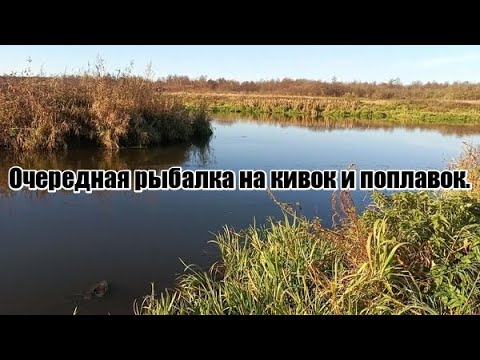 Видео: Кивок и поплавок.