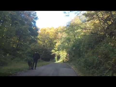 Видео: Извън градски маршрути. Пътуване към есенно Люляци. Местоположение в планината край Габрово.