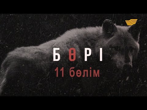 Видео: «Бөрі» 11 бөлім \ «Бори» 11 серия