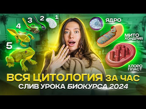 Видео: Годовой Биокурс Биология ЕГЭ | Цитология