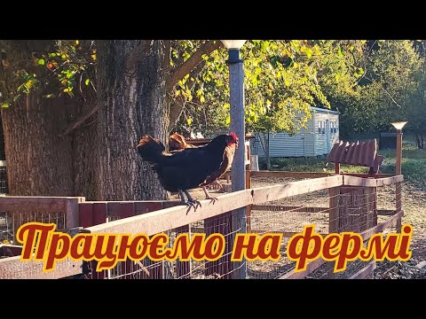 Видео: Готуємо ферму до зими бо в Мічигані вона справжня!