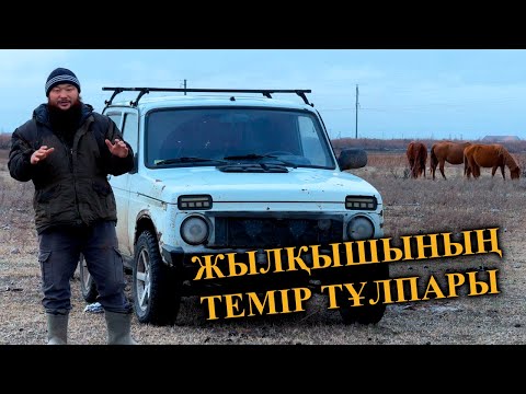 Видео: Жер мұздақ жылқыларға шөп апардым, нива жылқышыға ыңғайлы көлік.