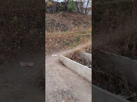 Видео: Прогулка по Камышину и разговор об разном