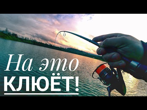 Видео: ЦЕЛЫЙ ДЕНЬ НИ ПОКЛЁВКИ, пока не поставил правильную приманку и поменял оснастку