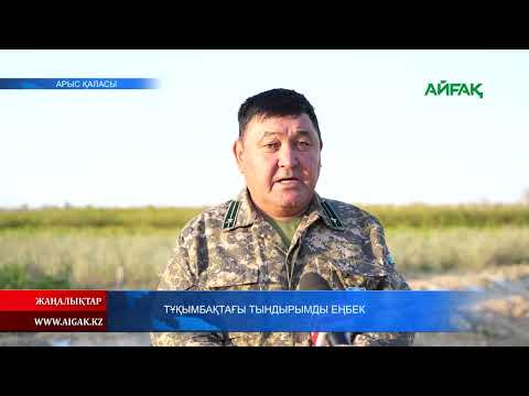 Видео: 18.10.2025 ж. ТҰҚЫМБАҚТАҒЫ ТЫНДЫРЫМДЫ ЕҢБЕК