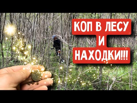 Видео: КОП В ЛЕСУ И НАХОДКИ!