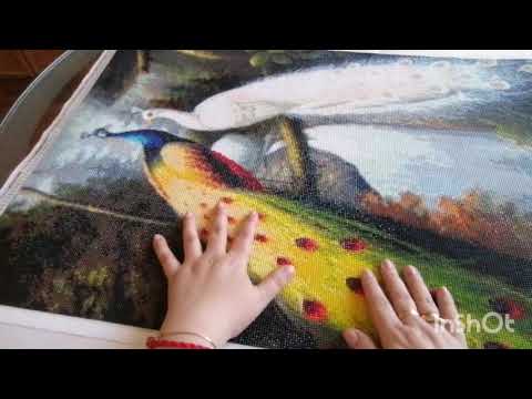 Видео: Готовая работа Мосфа "Павлины"