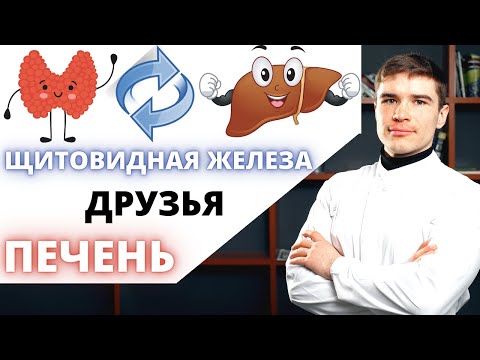 Видео: Жирная печень вызывает гипотиреоз или дефицит гормонов щитовидной железы создаёт стеатоз печени.