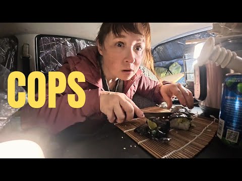 Видео: Скрытый кемпинг на парковке библиотеки