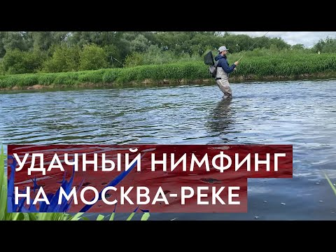 Видео: Нимфы снова ЛУЧШЕ жуков! Нахлыст на Москва-реке #15.