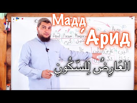 Видео: Урок № 22: Мадд «‘Арид ли-ссукун» ( Протяжение перед завершающим сукуном)