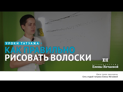Видео: Как правильно рисовать волоски. Теория. #татуаж #татуажбровей