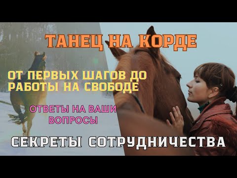 Видео: СЕКРЕТЫ работы на КОРДЕ с лошадью. ОТВЕТЫ на ваши вопросы. ВПЕРЕД И ВНИЗ, ВИРТУАЛЬНАЯ корда