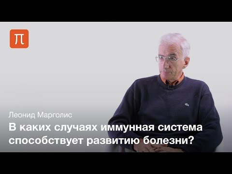 Видео: Иммунная активация и болезни человека — Леонид Марголис