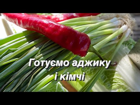 Видео: Як приготувати аджику і кімчі.