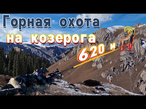 Видео: Горная охота на Козерога. Mountain hunting for ibex