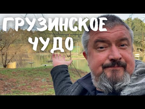 Видео: Грузинское чудо. Дендрологический парк Шекветили. #грузия #батуми