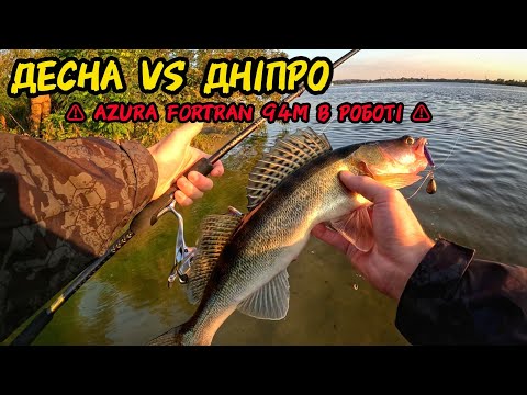 Видео: ⛔️РЕЖИМ НОН-СТОП: шукаємо Щуку і Судака!