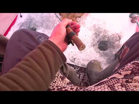 Видео: За Арктическим гольцом. Первый выезд в 2025 году.