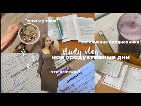 Видео: Study with me📝 много учёбы и покупок// что я читаю сейчас?